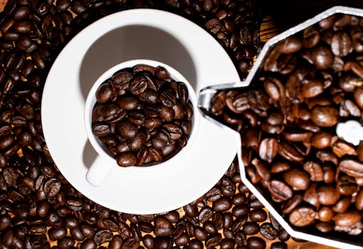 Coffee Market Trends in 2026: A Strategic Outlook for Import–Export Businesses